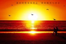 关于2020新冠肺炎的作文高中800字_抗击疫情的作文
