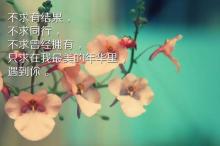 星热点:娄艺潇素颜照 娄艺潇整容了吗 娄艺潇整容后照片