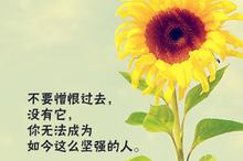 瑞安：关于做好疫情防控“十个从严”的通告